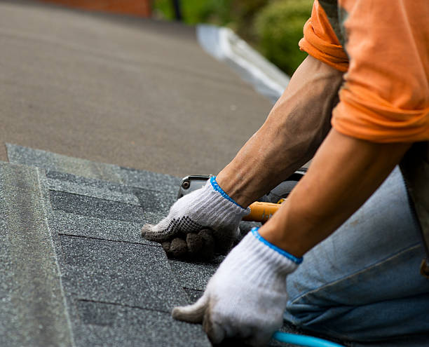 Best Roof Leak Repair  in North Fork, CA